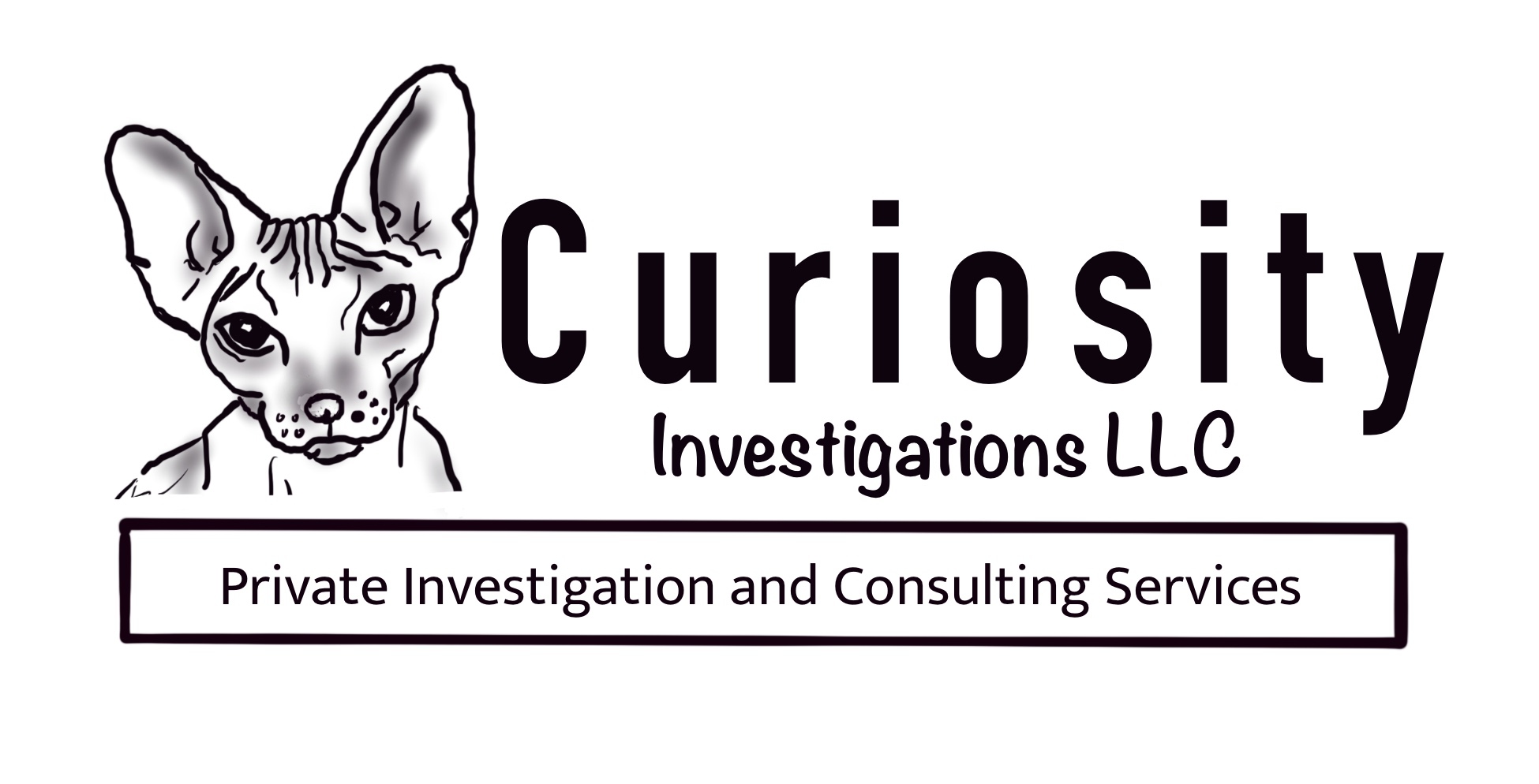 Curiosity Investigations LLC